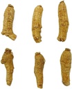 hand-selected-a-grade-american-ginseng-r-5.jpg