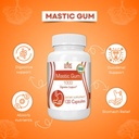 mastic-gum-capsules---natural-gastrointe-4.jpg