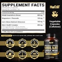 magnesium-with-lions-mane-shilajit-capsu-2.jpg