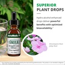 nutramedix-enula-liquid-drops-for-antiox-5.jpg