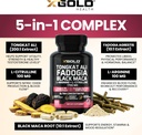 x-gold-health-tongkat-ali-fadogia-agrest-3.jpg