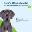 pet-wellbeing-wild-alaskan-salmon-oil-fo-6.jpg