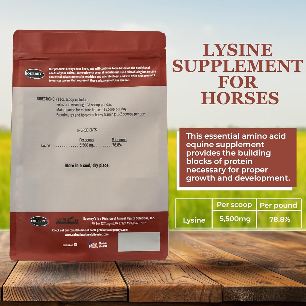 equerrys-lysine-supplement-for-horses-ly-3.jpg