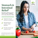 terry-naturally-stomach-intestinal-relie-3.jpg