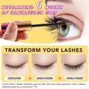 lash-serum5ml-lash-serum-for-eyelash-gro-3.jpg