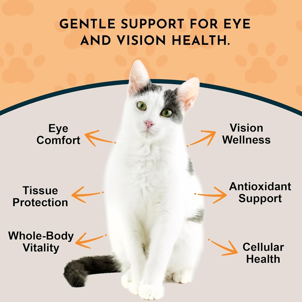 animal-essentials-eye-defense-support-fo-3.jpg