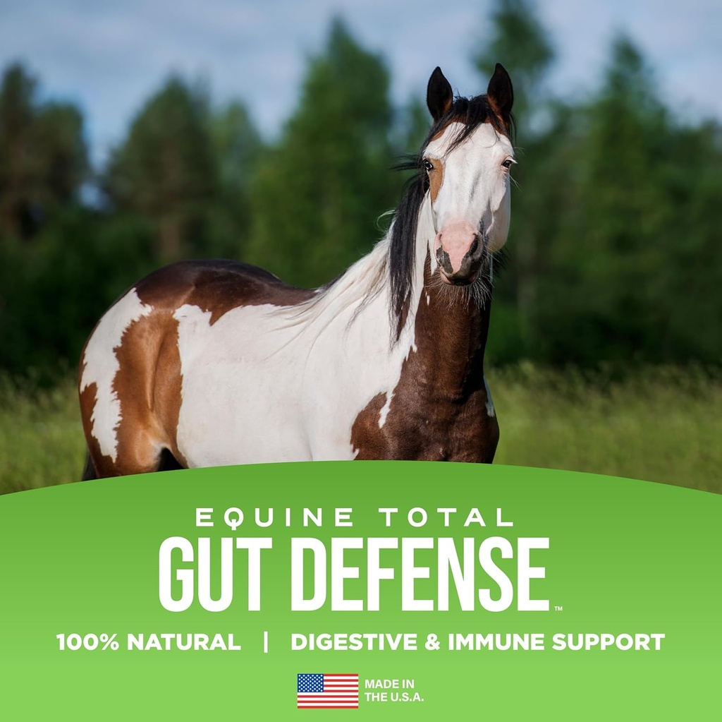 equine-total-gut-defense-all-natural-dig-2.jpg