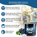 nad-supplement-1000mg---nicotinamide-rib-3.jpg