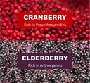 immunia-urinary-health-cranberry-elderbe-6.jpg