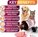 cat-dog-uti-treatment---urinary-tract-in-2.jpg