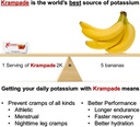 krampade-original-2k---2000-mg-potassium-4.jpg