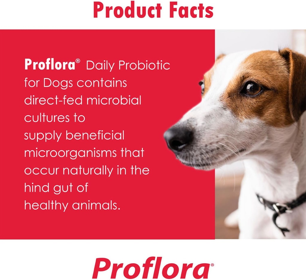 probiotics-for-dogs-complete-gut-health--5.jpg