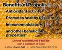 dr-ohhiras-propolis-plus-60-capsules-wit-4.jpg