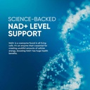 nad-supplement-nadresveratrol-supplement-4.jpg