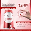 1-pack---glycogen-support-glycogen-contr-2.jpg