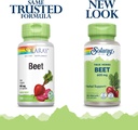 solaray-beet-root-605mg-may-support-card-2.jpg