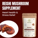 rooted-reishi-mushroom-extract-powder-he-3.jpg