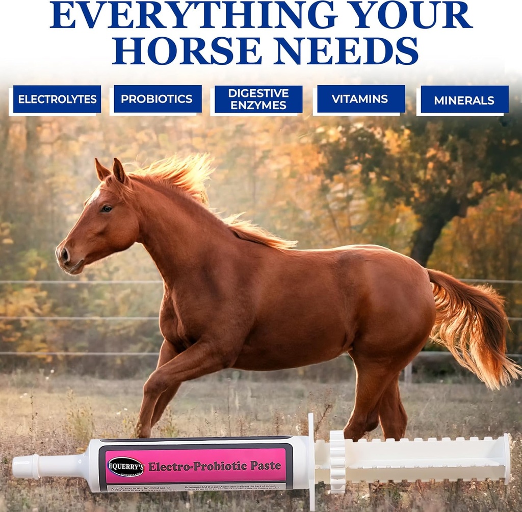 equerrys-electro-probiotic-paste-for-hor-3.jpg
