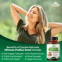zazzee-mimosa-pudica-seed-101-extract-20-3.jpg