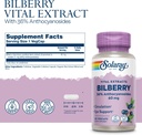 solaray-bilberry-berry-extract-60-mg-pow-2.jpg