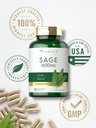 carlyle-sage-supplement-1600mg-180-capsu-5.jpg