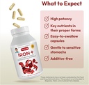 andrew-lessman-iron-plus-180-capsules----4.jpg