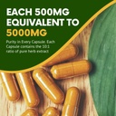 organic-ashwagandha-capsules---5000-mg-e-6.jpg