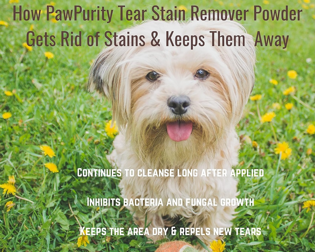 pawpurity-tear-stain-remover-starter-kit-3.jpg