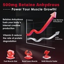 zebora-micronized-creatine-monohydrate-p-4.jpg