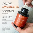potent-epicatechin-capsules-500mg-each10-2.jpg