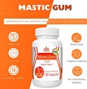 premium-mastic-gum-capsules---natural-ga-3.jpg