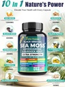 sea-moss-extract-black-seed-oil-ashwagan-5.jpg