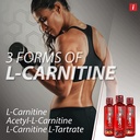 isatori-l-carnitine-ls3-3000-liquid-l-ca-3.jpg