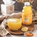 turmeric-gingerade-ginger-soother-by-the-4.jpg