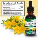 natures-answer-st-johns-wort-alcohol-fre-3.jpg