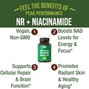 nicotinamide-riboside-nr-supplement-nmn--2.jpg