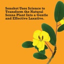 senokot-extra-strength-natural-vegetable-6.jpg