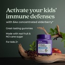 new-chapter-elderberry-gummies-for-kids--3.jpg