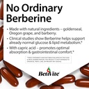 betivite-berberine-supplements-berberine-3.jpg