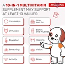 liquid-multivitamin-for-dogs-cat-multivi-2.jpg