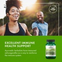 swanson-ultimate-ashwagandha-ksm-66---he-6.jpg