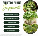 50mg-sulforaphane-supplement-from-brocco-2.jpg