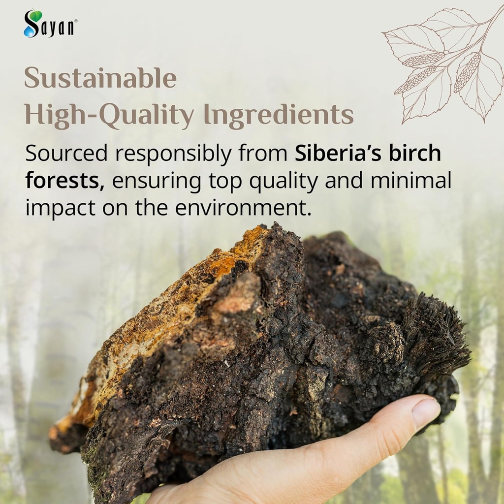 sayan-siberian-pure-raw-coarse-chaga-pow-6.jpg
