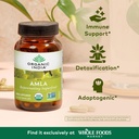 organic-india-amla-capsules-organic---in-2.jpg