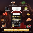 1000-mg-shilajit-gummies-organic-shilaji-4.jpg