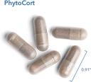 nutricology-phytocort-supplement---respi-5.jpg