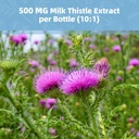 milk-thistle-supplement-capsules-liver-h-6.jpg