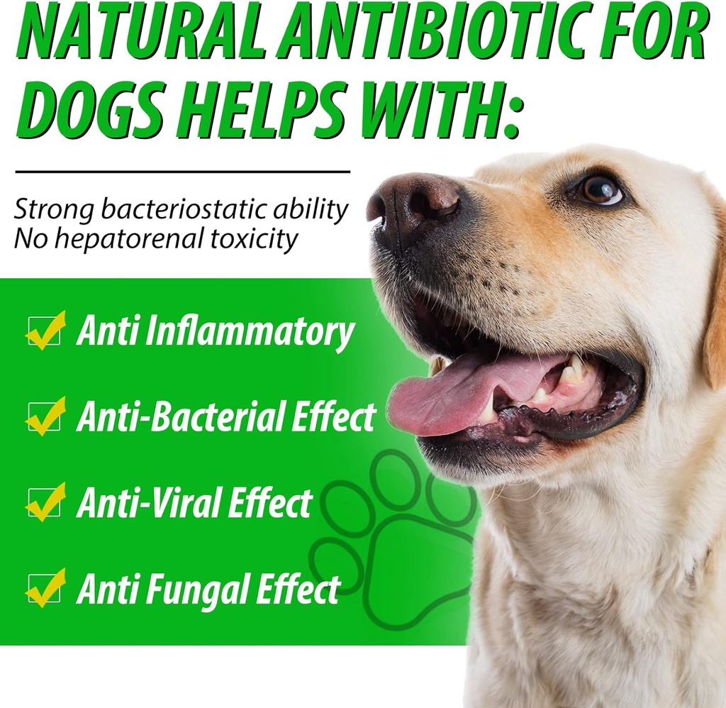 generic-antibiotics-for-dogs-dog-antibio-3.jpg