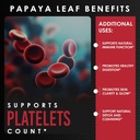 papaya-leaf-extract-digestive-enzymes-10-4.jpg