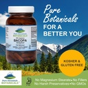 pure-mountain-botanicals-bacopa-monnieri-6.jpg
